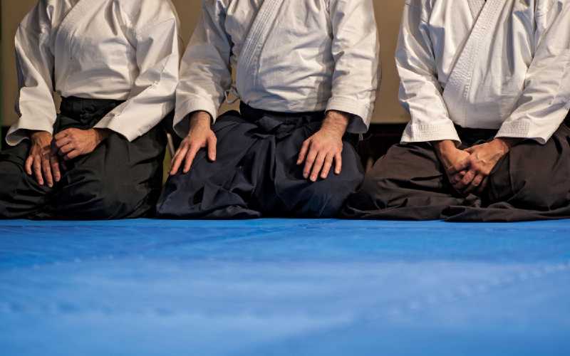 Masterclass Aikido & Leiderschap