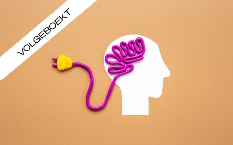 Masterclass Brain Routing