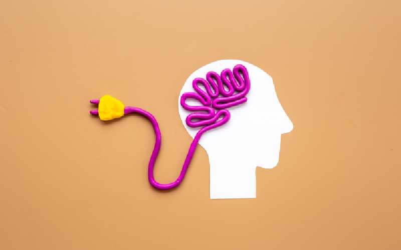 Masterclass Brain Routing